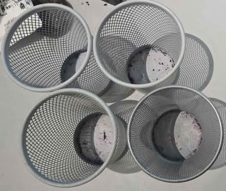 Photo of free Ikea Pen Cup (South Kensington station. SW3) #2