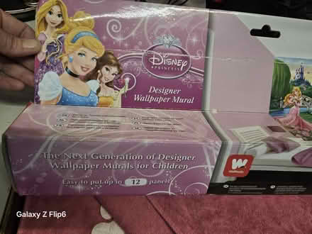 Photo of free Wall paper disney princesses mural (Erith DA8) #4