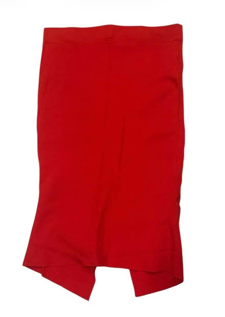 Photo of free Eva Mendes Woman’s Skirt (Brooklyn Storage) #1