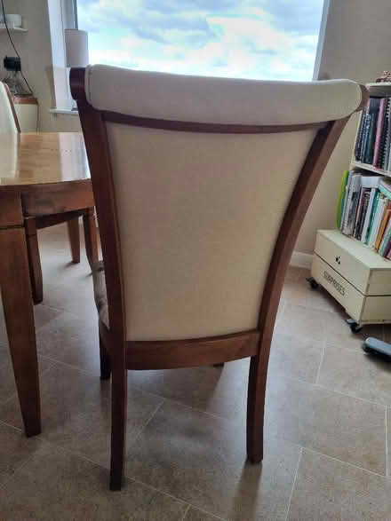 Photo of free 6 x dining chairs (Kingsway) #3