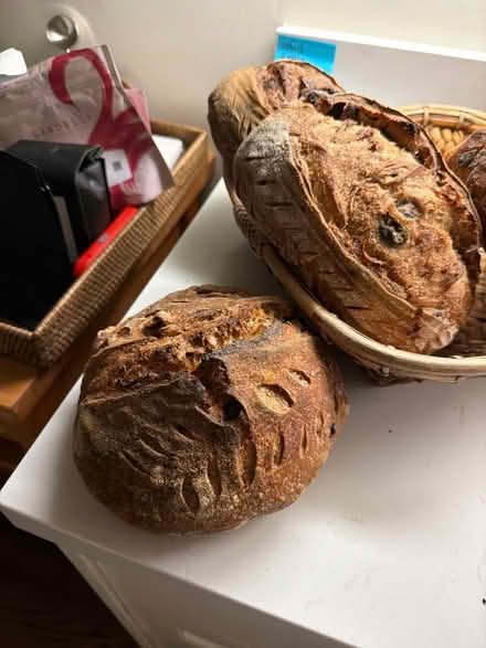 Photo of free Homemade Sourdough Olive Bread (94707) #4