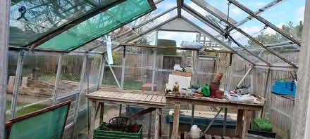 Photo of free Greenhouse (Felixstowe IP11) #3