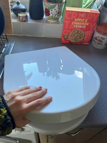 Photo of free Toilet seat (Queens Park W10) #2
