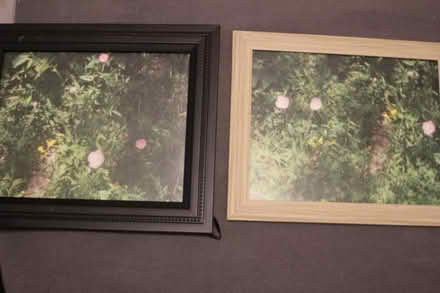 Photo of free custom photos 8x10in (200 e princeton dr) #4