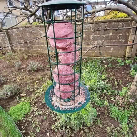Photo of free Suet ball holder (Bradford on Avon BA15) #1