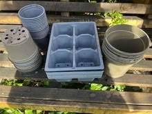 Photo of free Plastic pots and trays (Caldecott OX14) #1
