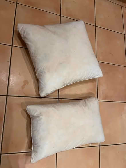 Photo of free Feather cushion inserts (Croydon CR0) #1