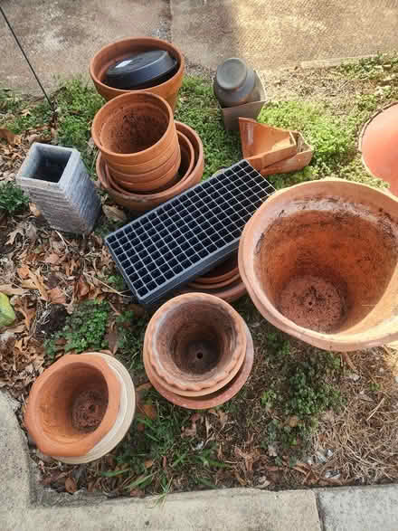 Photo of free House Plants and Garden pots (Danville VA) #1