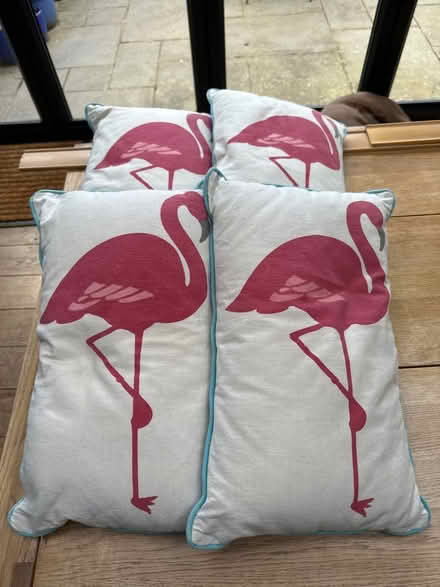 Photo of free 4 cushions (Camberley GU15) #1