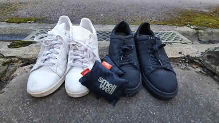 Photo of free 2x Pair of Shoes + Smell Wells (Roehampton) #1