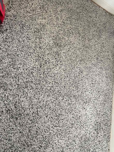 Photo of free Ikea Thick Rug 275 x 200cm (Langney BN23) #1