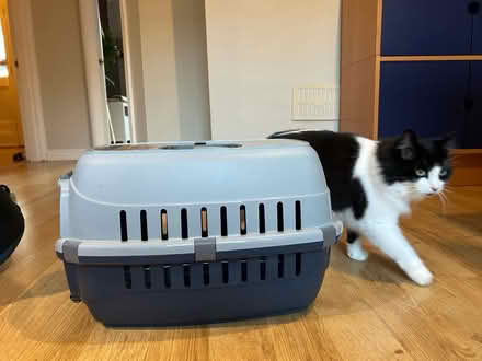 Photo of free Cat/Pet Carrier (Gilesgate DH1) #1