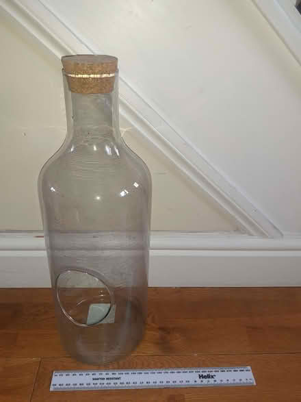 Photo of free Bottle Garden Terrarium (Kingsway) #2