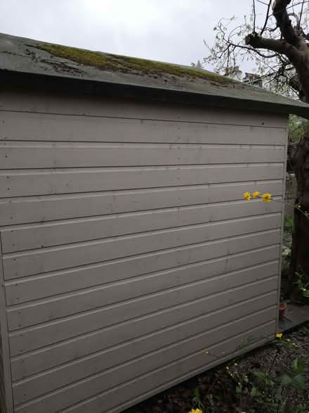 Photo of free Garden shed (Grandpont OX1) #3