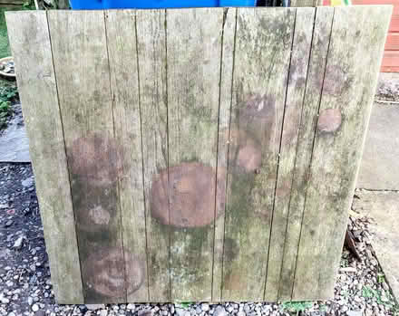 Photo of free Teak wood - tounged and grooved (Forfar DD8) #1