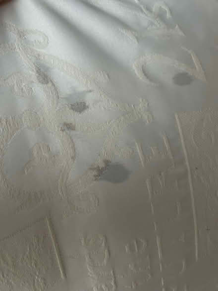 Photo of free Cushions + covers (Funtley PO17) #4