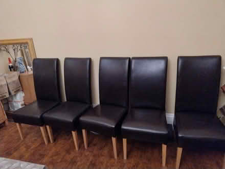 Photo of free Dining chairs (Eltham SE9) #1