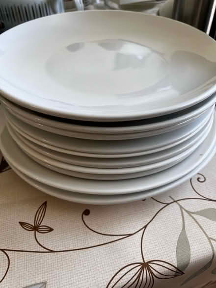 Photo of free Dinner plates (Portola District, SF) #1