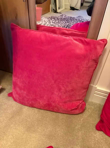 Photo of free Cushions (Eh288af) #3