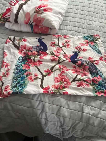 Photo of free Quilt cover (Downley HP13) #2