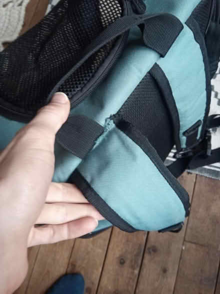Photo of free Pet carrier - collapsible (Drylaw EH4) #2