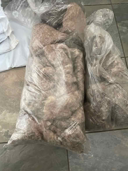 Photo of free Insulating/packing/craft materials (Northlands Wood) #2