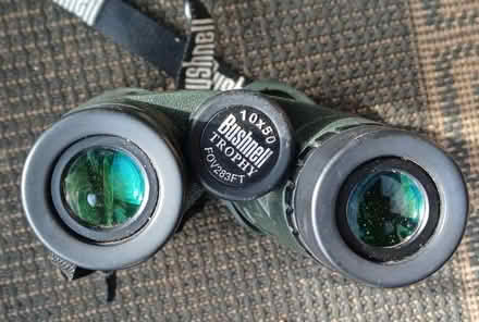 Photo of free Birdwatching Bushnell binoculars 10 x 50 mm (Bicester OX26) #1