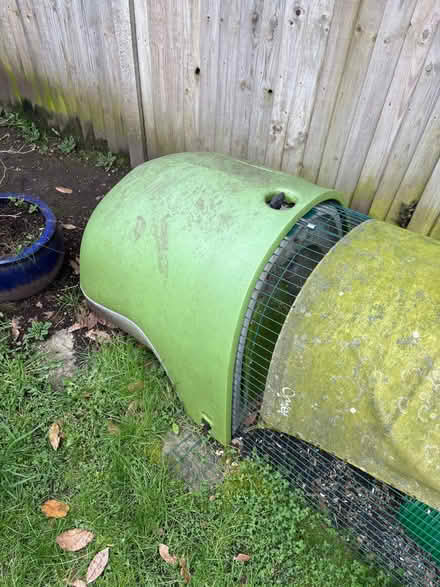 Photo of free Omlet rabbit hutch / run (Kingston Gate KT2) #1