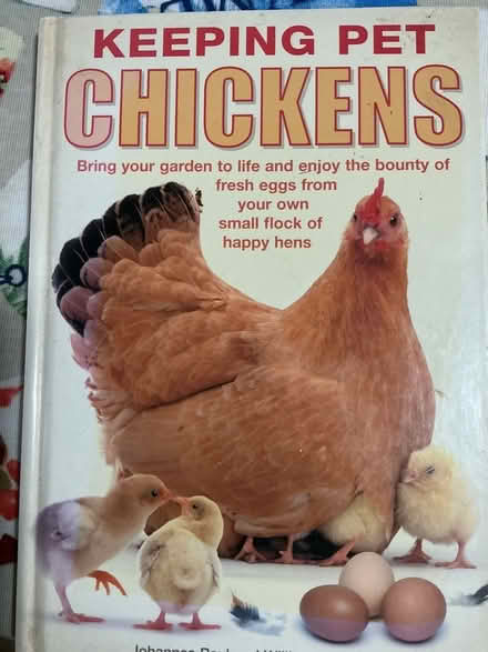 Photo of free Chickens in your garden? (Weston Rhyn SY10) #1