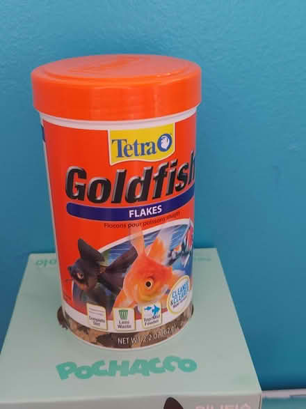Photo of free Fish food flakes (Warren) #1