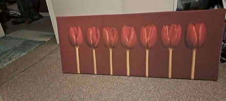 Photo of free Print canvas (Hayes UB4) #1