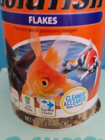 Photo of free Fish food flakes (Warren) #2