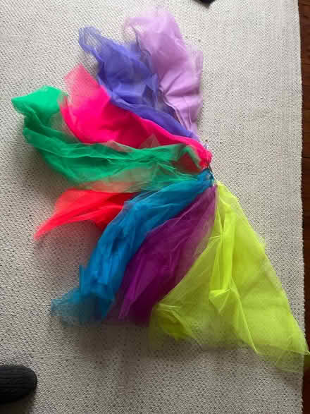 Photo of free Multi coloured netting for projects (Teignmouth TQ14) #1