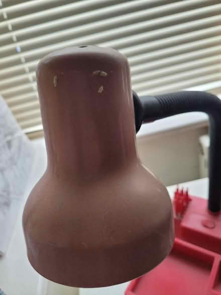 Photo of free Desk lamp (Shenley Fields B29) #2