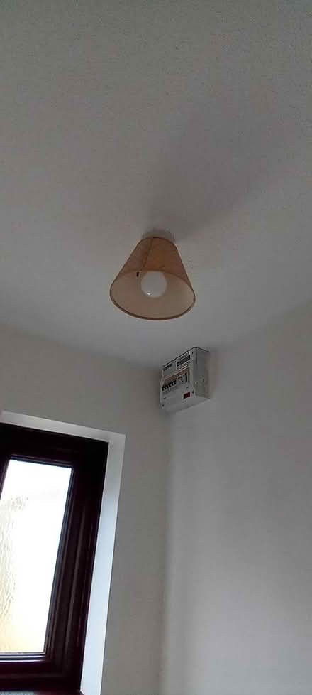 Photo of free Ceiling light shades (Barry, CF62) #3