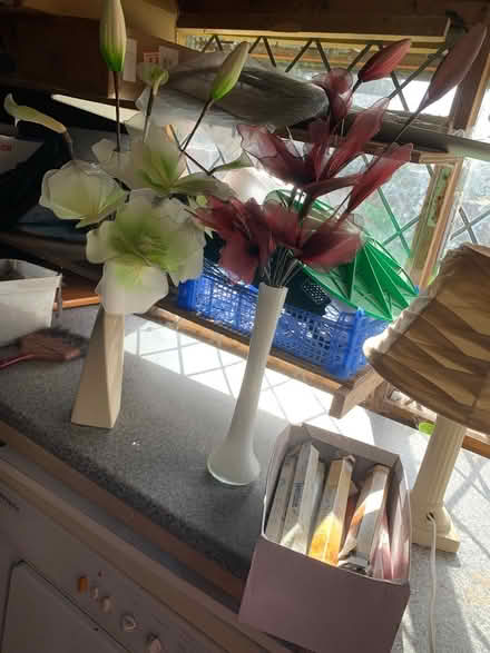 Photo of free Flowers 🌷 2xLamps (BH234LR) #1
