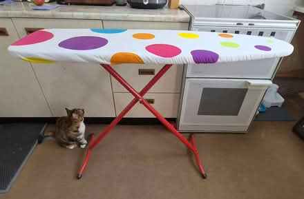 Photo of free Ironing Board - Adjustable (ME13) #3