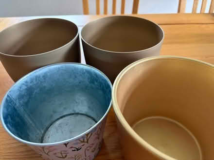 Photo of free 4 plant pots (Longbarn WA2) #2