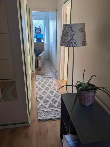 Photo of free Runner rug grey (Oxford OX2) #1