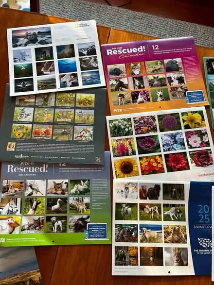 Photo of free Calendars (Downtown Mountain View) #3
