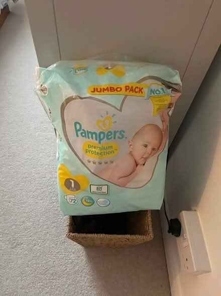 Photo of free Pampers 12m nappies (Hollington TN37) #1