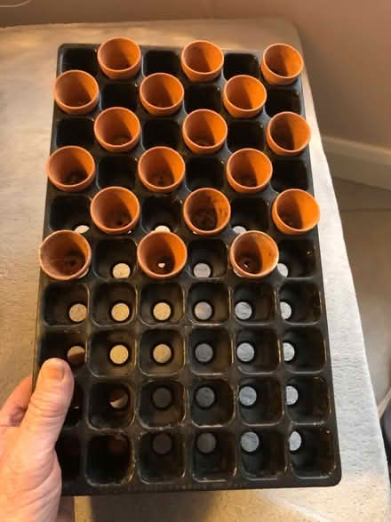 Photo of free Seed tray and small seed pots (GU14) #2