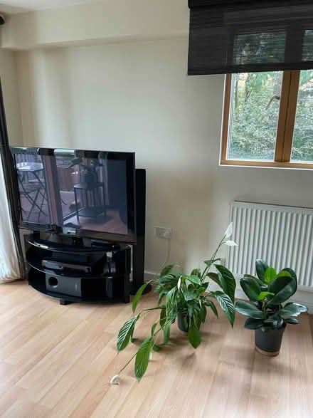 Photo of free Lots of furniture! (Greenwich SE3) #2