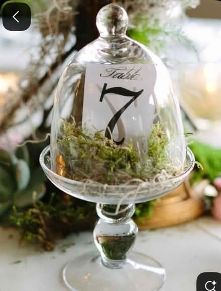 Photo of Doilies and stands w lid (N.Farmington) #2