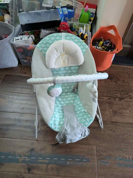 Photo of free Baby bouncer (Cockfosters N14) #1