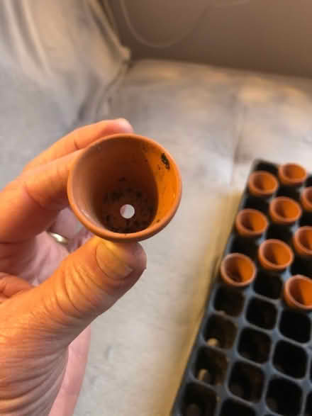Photo of free Seed tray and small seed pots (GU14) #1