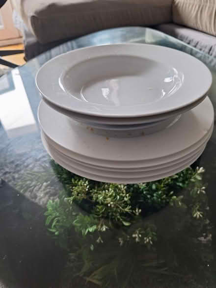 Photo of free Plates and cups (DA11) #2