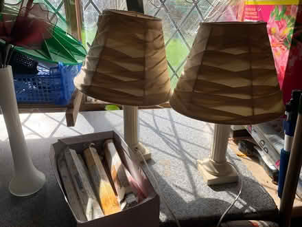 Photo of free Flowers 🌷 2xLamps (BH234LR) #2