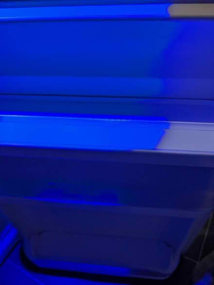 Photo of free Small fridge (Saughton Mains Park EH11) #1