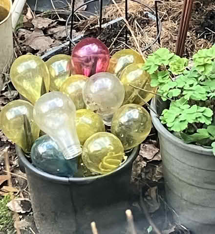 Photo of free Plastic light bulb bits (Brinnington SK5) #1